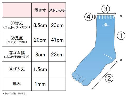 シルク5本指ソックス 薄手 レディース サイズ表